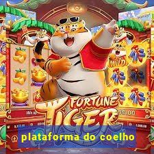 plataforma do coelho